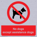 no-dogs-except-assistance-dogs~